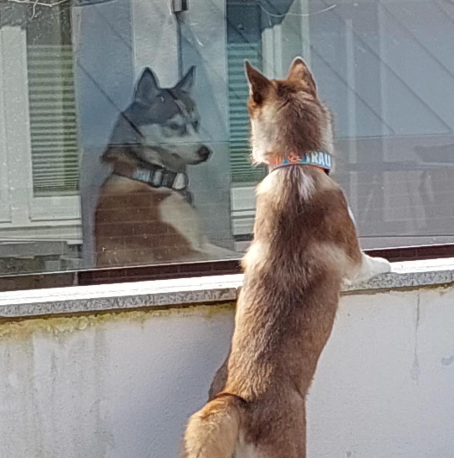 Ferienwohnung Watzek Grömitz Kültér fotó